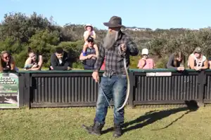 2025-06-22 La Perouse - IMG_2807_compressed_q50.webp